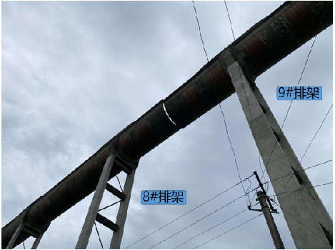 PP王者电子(PP)官方网站 - 正版试玩平台